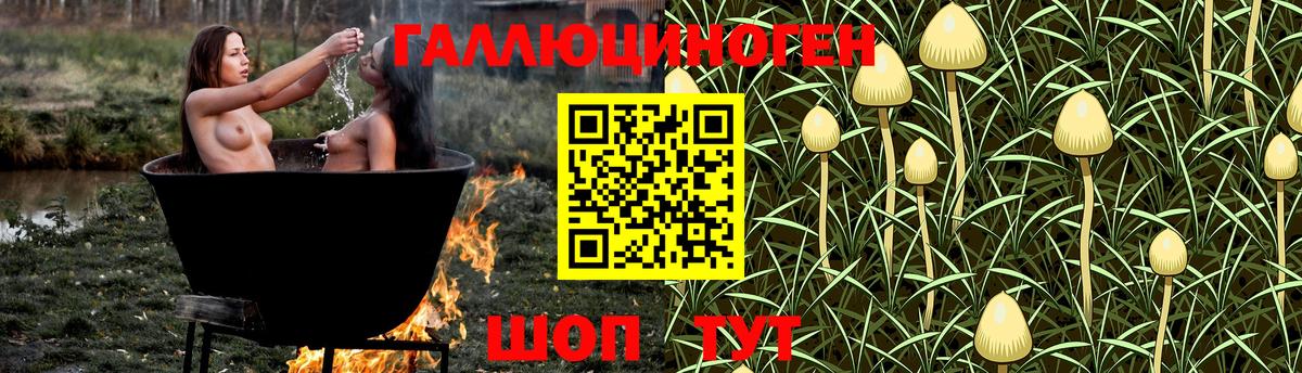 Псилоцибиновые грибы Cubensis  закладки  Богородицк  Псилоцибиновые грибы Psilocybine cubensis  Вход с VPN 