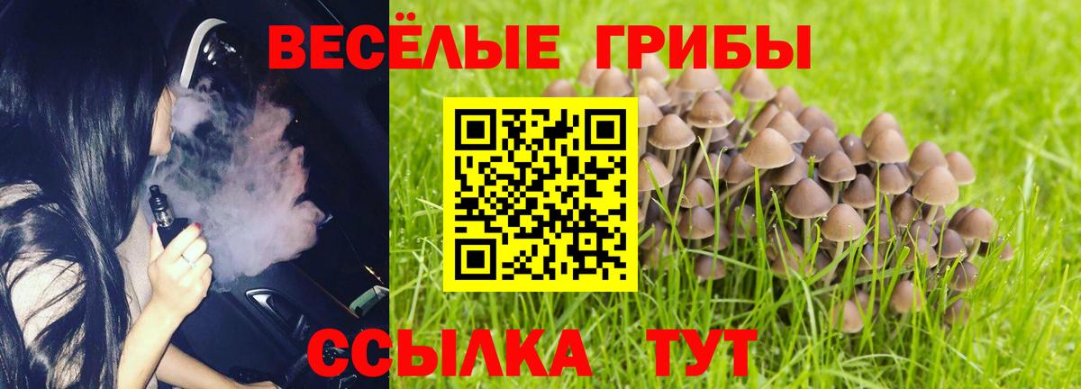 Псилоцибиновые грибы прущие грибы Богородицк